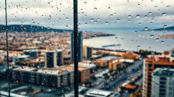 Comparez les meilleurs devis pour une agence web à Marseille